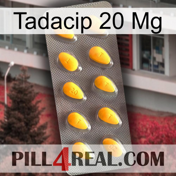 Tadacip 20Mg cialis1